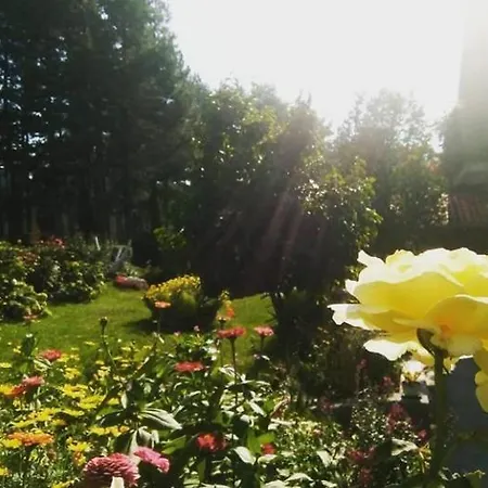 Apartmán Milic Sirogojno