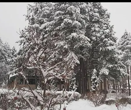 Apartmán Milic Sirogojno