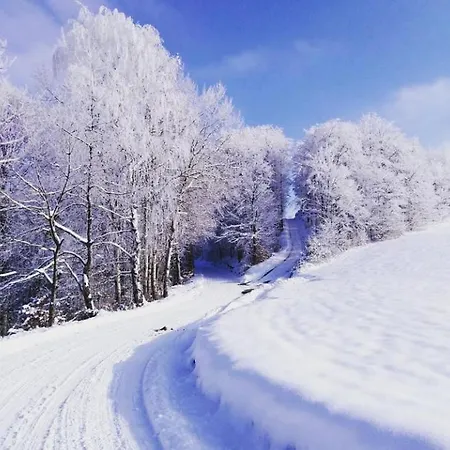 Milic Lägenhet Sirogojno