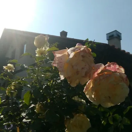 Milic Lägenhet Sirogojno